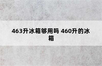 463升冰箱够用吗 460升的冰箱